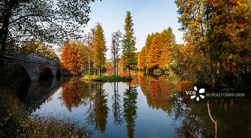 南京燕雀湖之秋图片素材