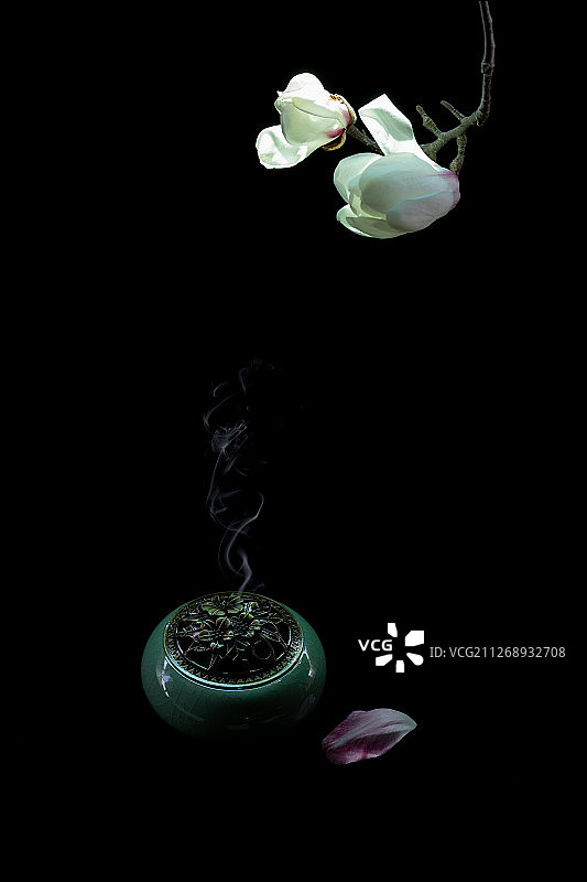 黑色背景前的一只花朵图片素材