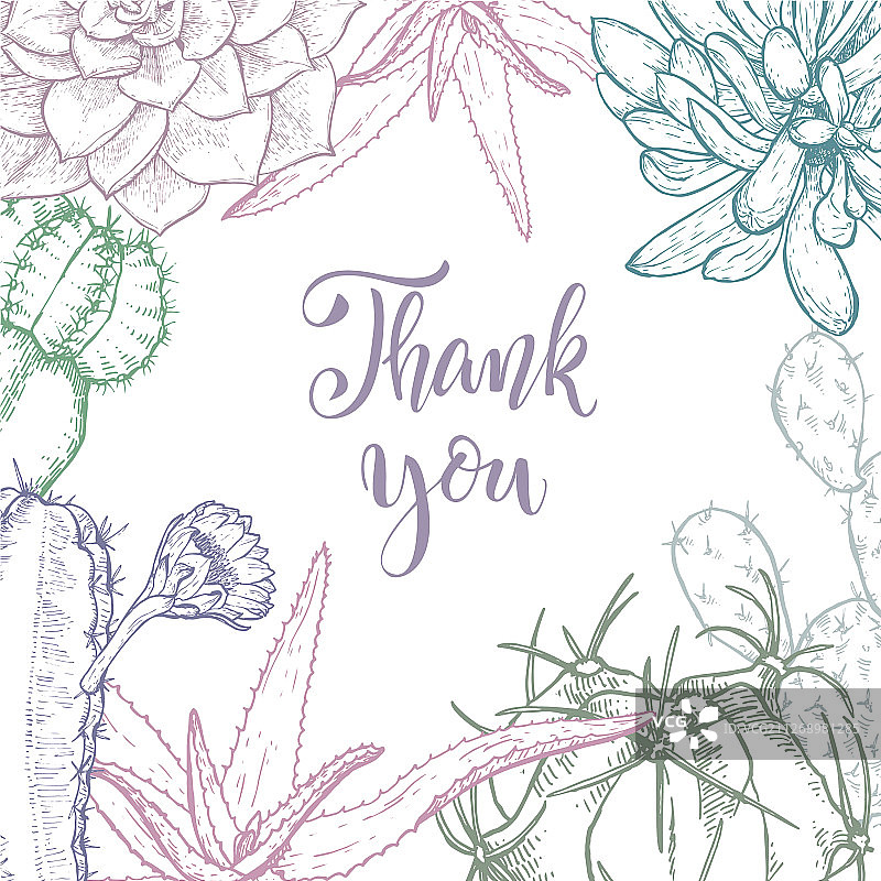 手绘线条仙人掌和多肉植物图片素材