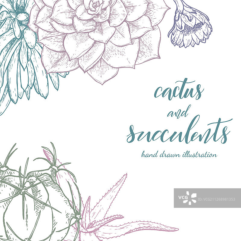 手绘线条仙人掌和多肉植物图片素材