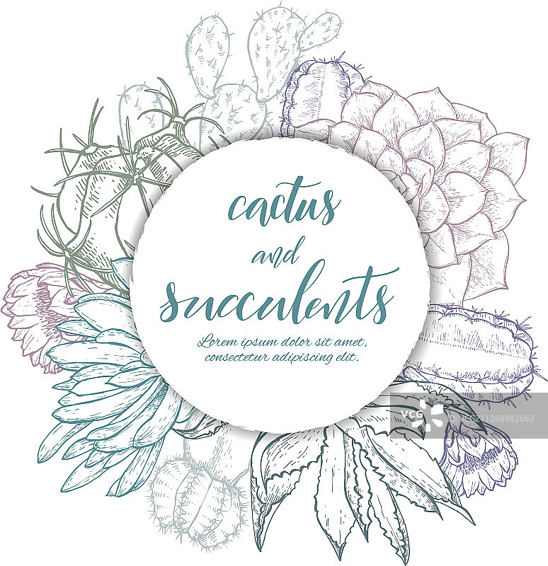手绘线条仙人掌和多肉植物图片素材