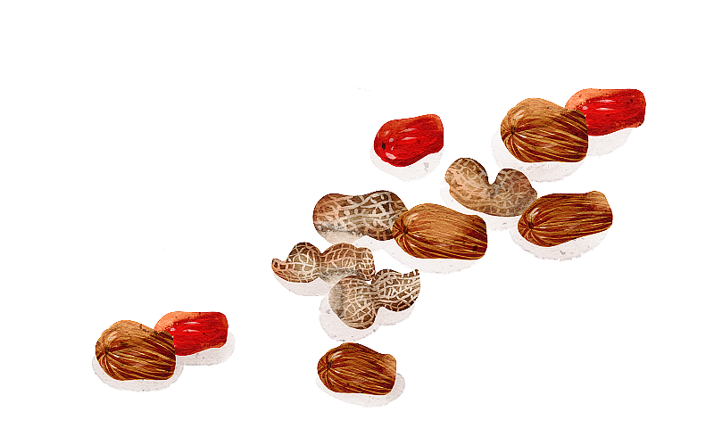 水彩风格零食蜜枣花生插画图片素材