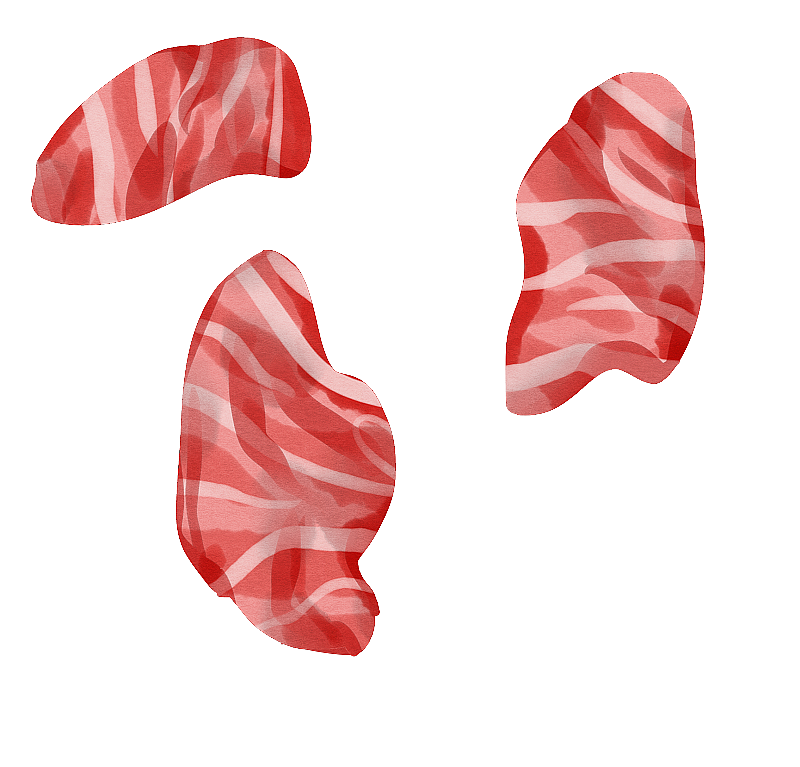 食材肉片插画图片素材