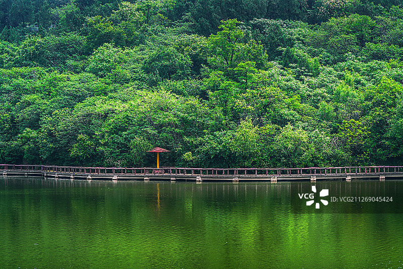 夏日山林+江苏省徐州市新沂市马陵山风景名胜区图片素材