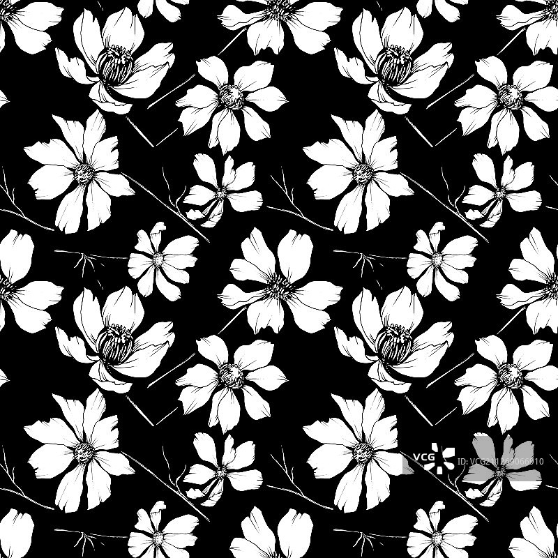 宇宙花，植物花黑色和图片素材