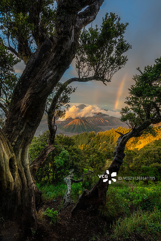 侏罗纪时代图片素材