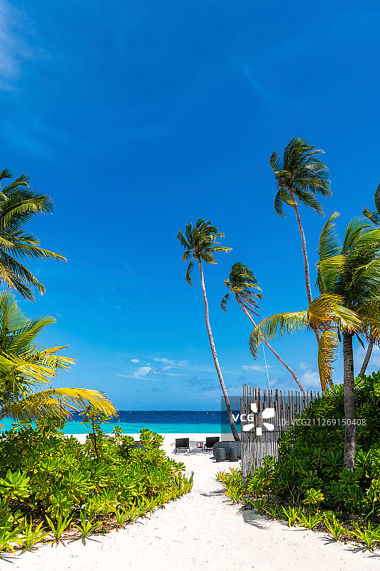 马尔代夫海岛户外风光图片素材