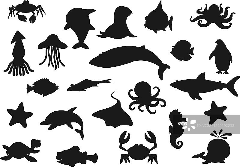 鲸鱼螃蟹鲨鱼海蜇海洋动物图片素材