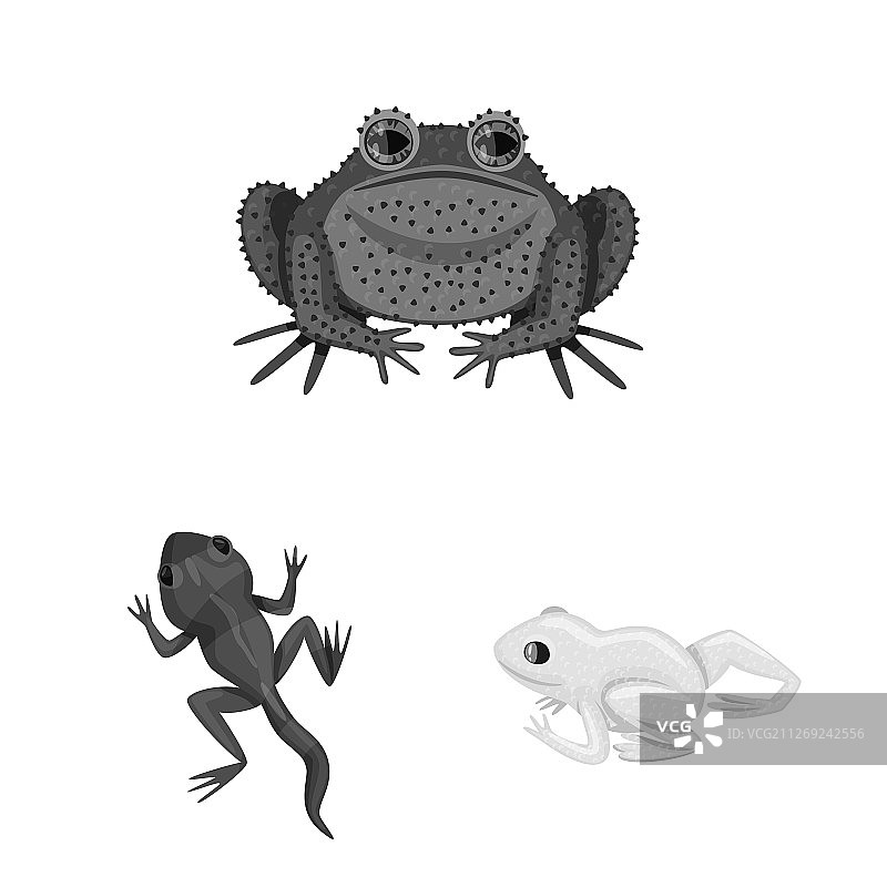 野生动植物图标元素图片素材