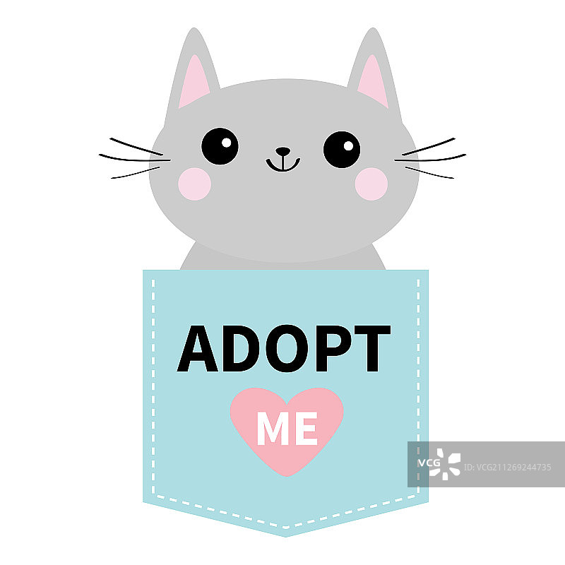 蓝色口袋里的猫咪宠物领养图片素材