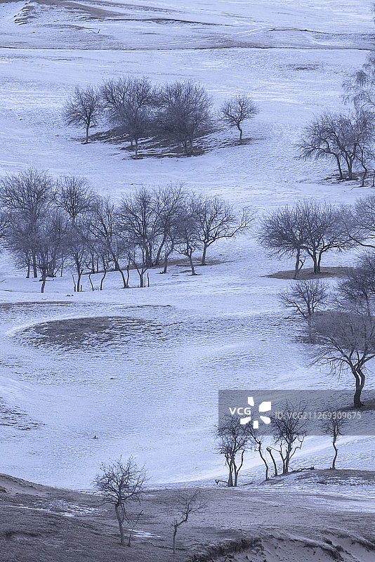 雪地上山坡上的树木图片素材