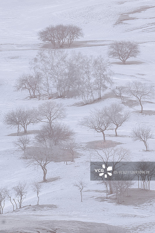 雪地上山坡上的树木图片素材