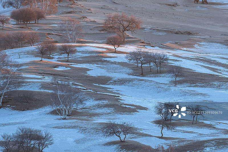 雪地上山坡上的树木图片素材