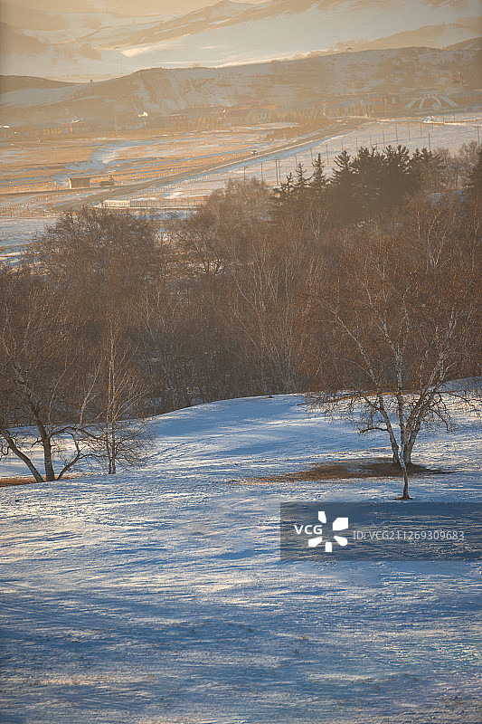 雪地上山坡上的树木图片素材