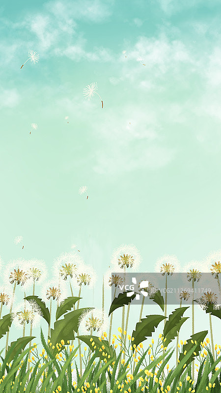 晴朗天空下的蒲公英花丛插画图片素材