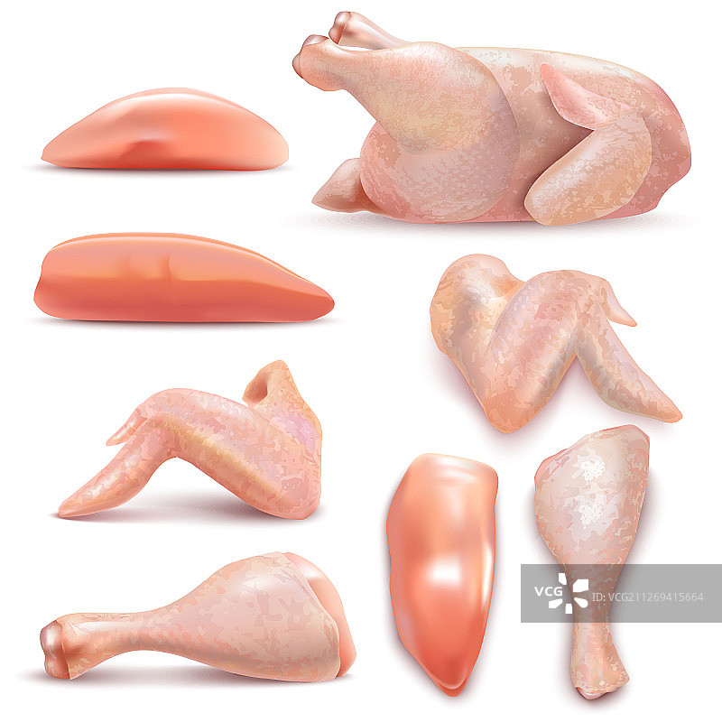 逼真风格的鸡肉图片素材