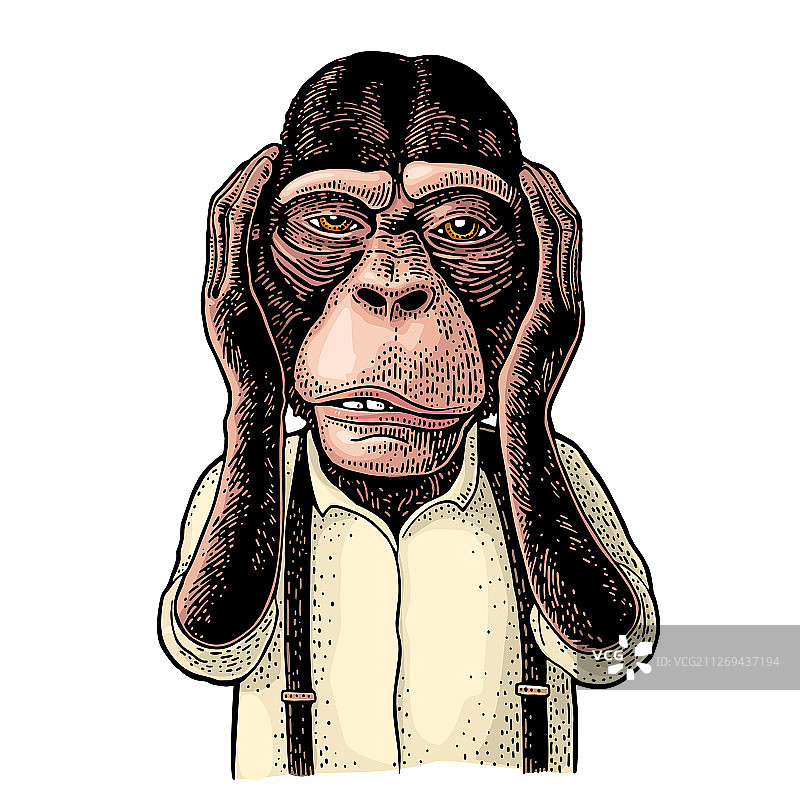 捂耳朵的复古黑猴子图片素材