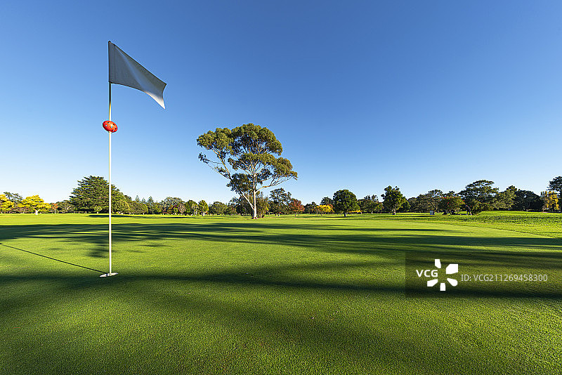 高尔夫球场图片素材