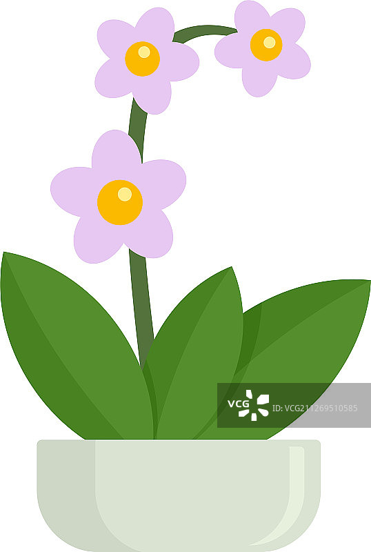 兰花盆栽扁平风格图标图片素材