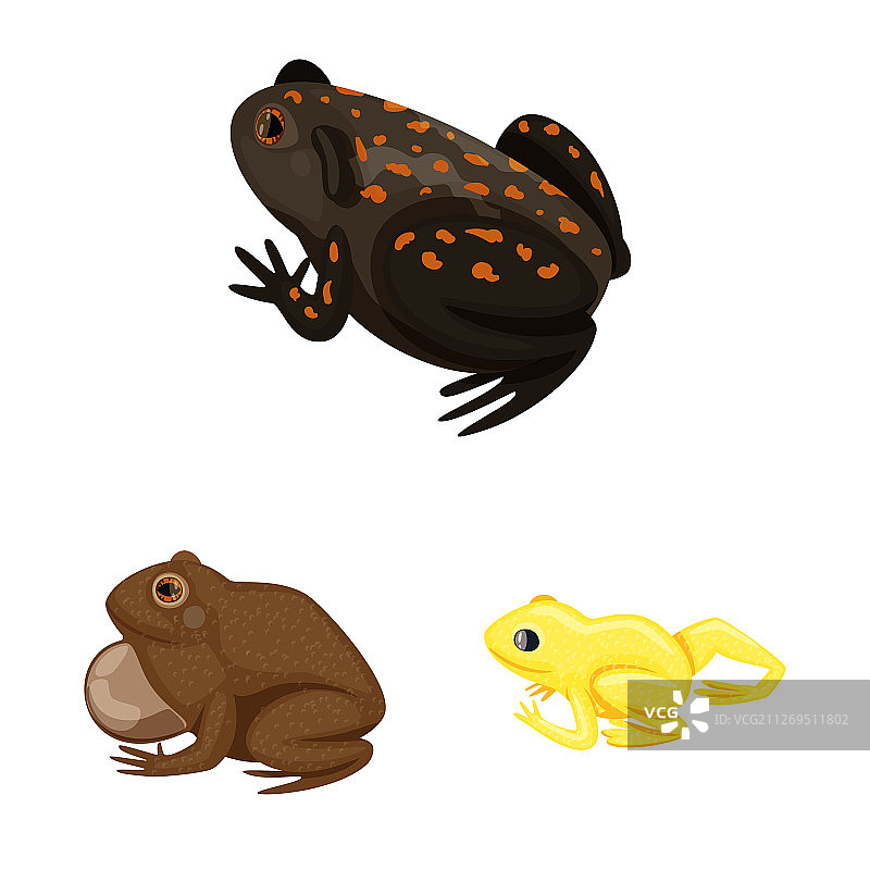 青蛙和无尾目动物logo设计套装图片素材