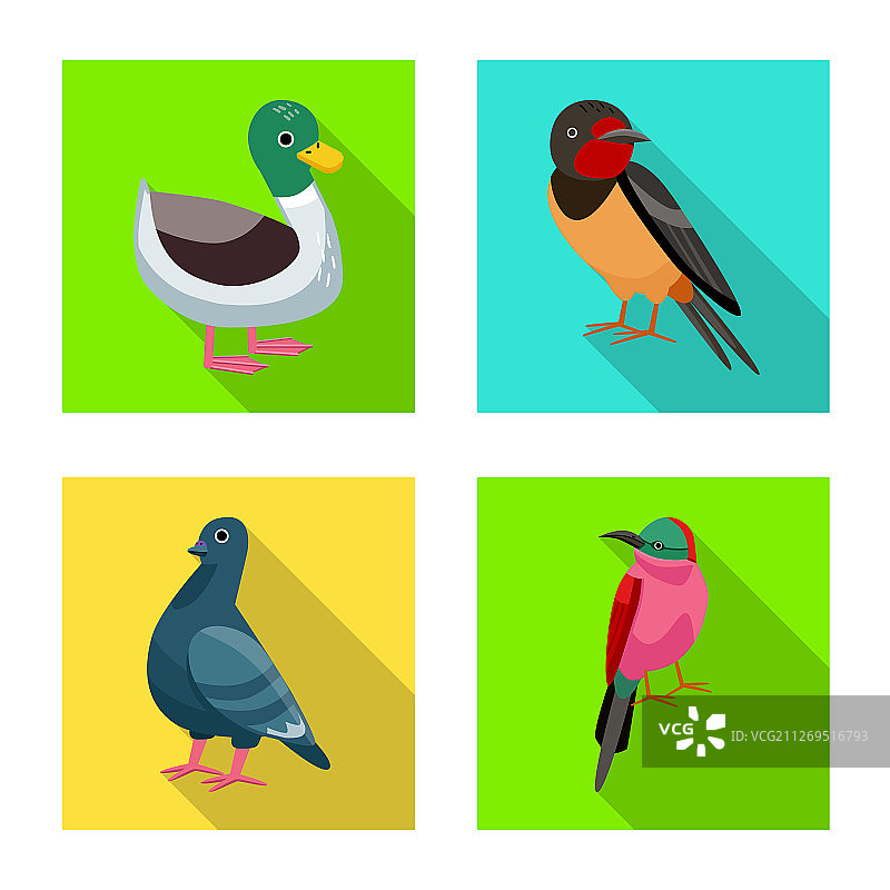 动物与野生符号集图片素材