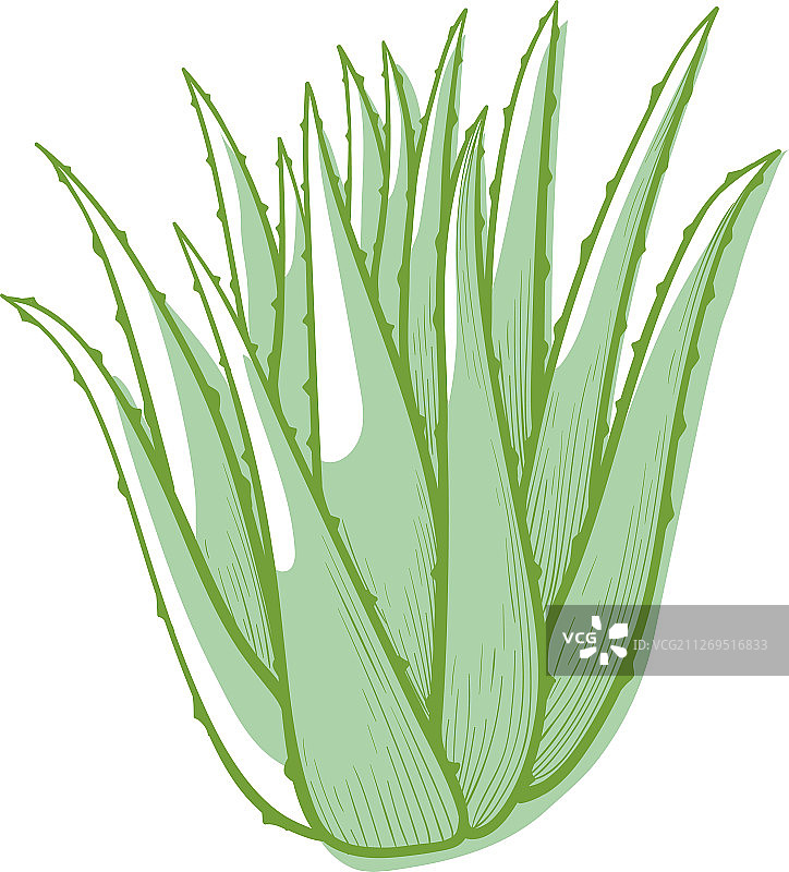 芦荟花图标，植物装饰图片素材