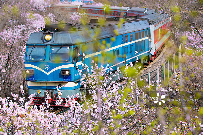 春天桃花里的列车图片素材