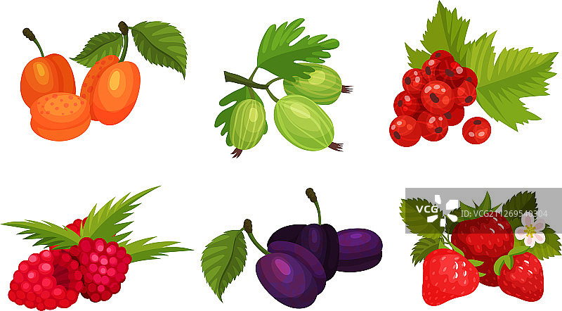 甜酸浆果组合图片素材