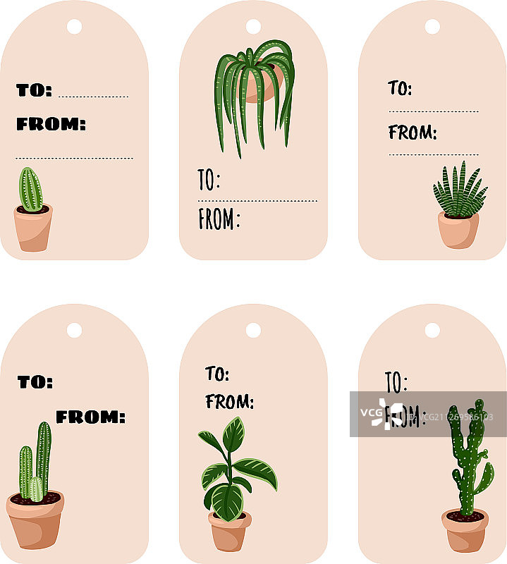 舒适盆栽多肉植物礼品标签套装图片素材