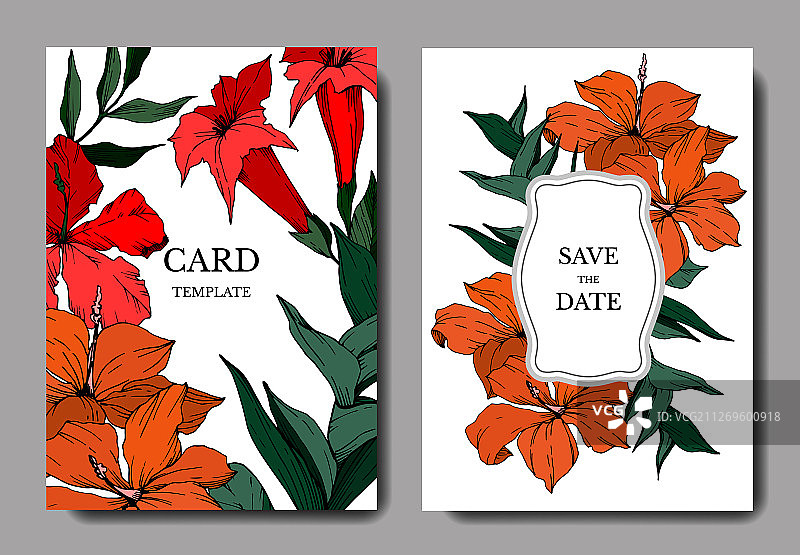 黑色热带花卉叶子图片素材