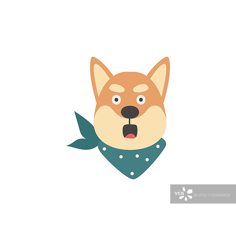 惊讶又害怕的柴犬狗头图片素材