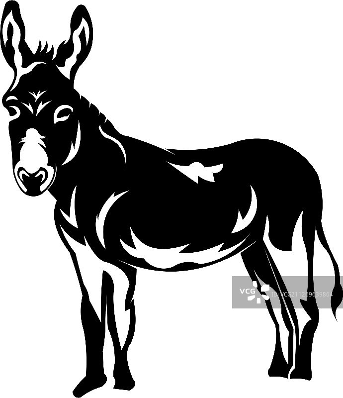 驴图片素材