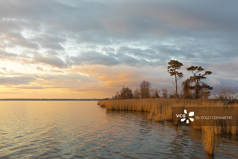 美国北卡罗来纳州马塔马斯基特湖的日出图片素材