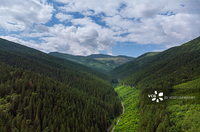 夏季森林山地景观图片素材
