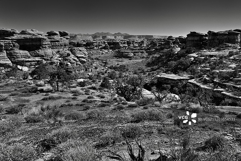 植被稀少的峡谷地沙漠的黑白照片图片素材