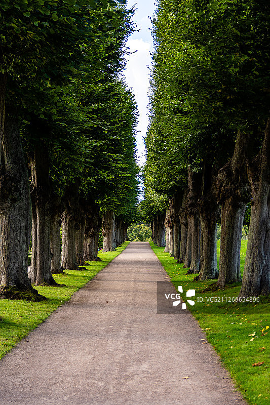 丹麦希勒罗公园小径景观图片素材