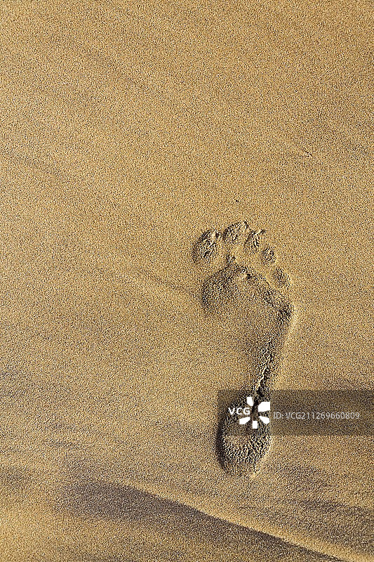 沙滩上的单个人类赤脚脚印图片素材