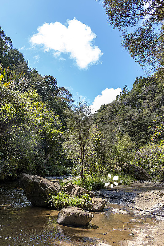 树林中带有小溪的荒野地区图片素材