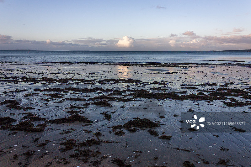 新西兰奥克兰日落海景图片素材