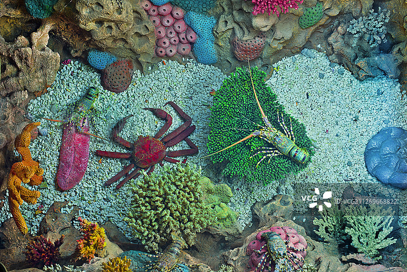 水下装饰景观图片素材