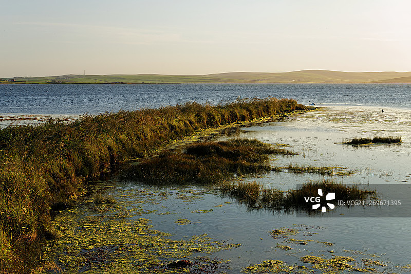英国奥克尼群岛柯克沃尔：韦兰湾日落图片素材