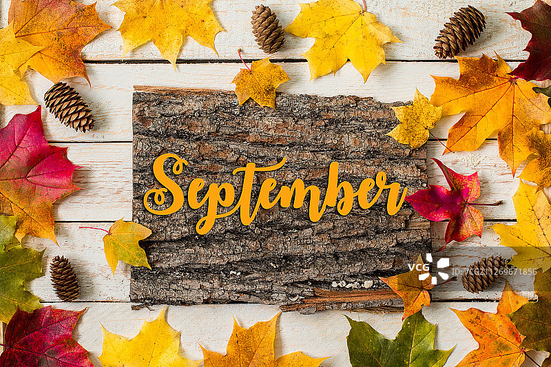 九月问候卡图片素材