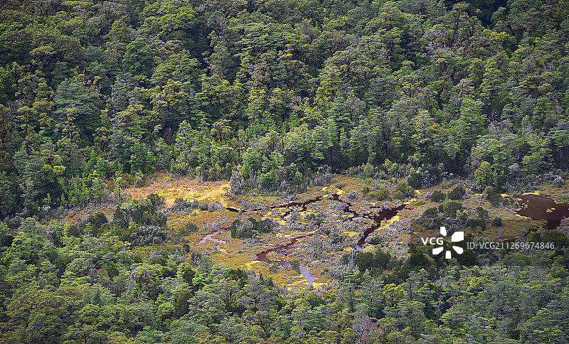 新西兰蒂阿瑙的雨林和河流鸟瞰图片素材