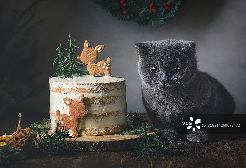 蓝猫与小鹿蛋糕图片素材