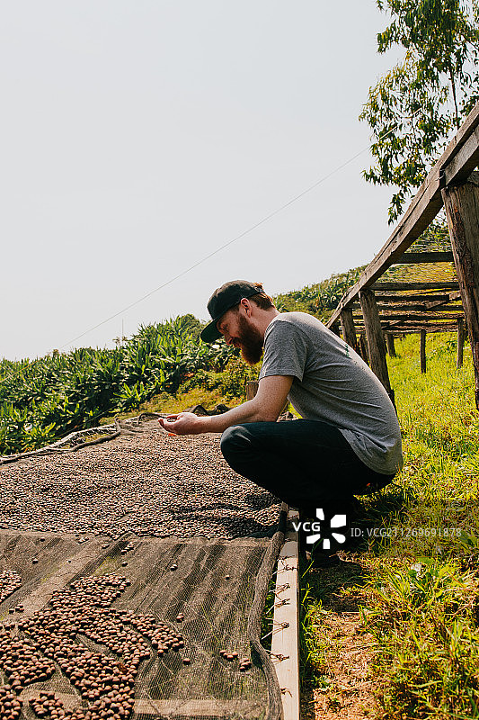 男子在卢旺达吉塔拉马挑选咖啡豆图片素材
