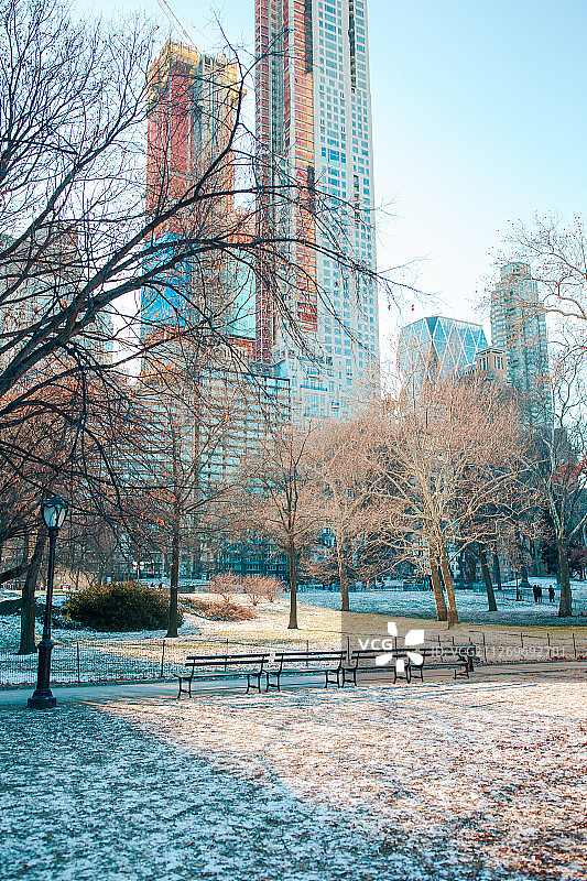 冬季的曼哈顿中央公园图片素材