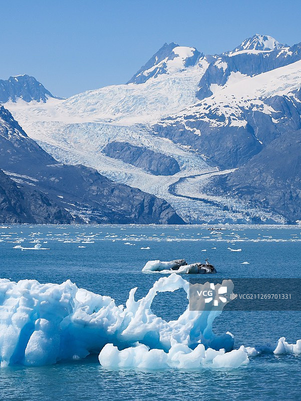 水中漂浮的侵蚀冰层图片素材