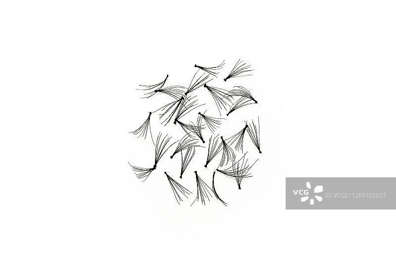 白色背景上的假睫毛合集图片素材