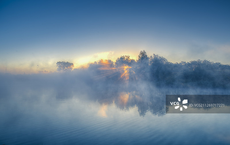 阳光穿过雾气笼罩的湖边树林图片素材