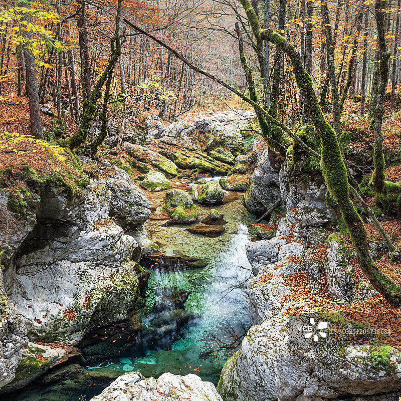 斯洛文尼亚博希尼伊斯卡比斯特里察岩石溪流景观图片素材